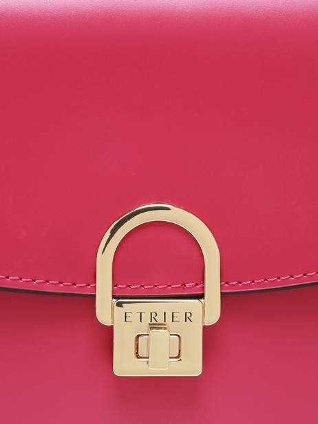 Shoulder Bag M Altair Leather Etrier Pink altair EALA081M other view 5